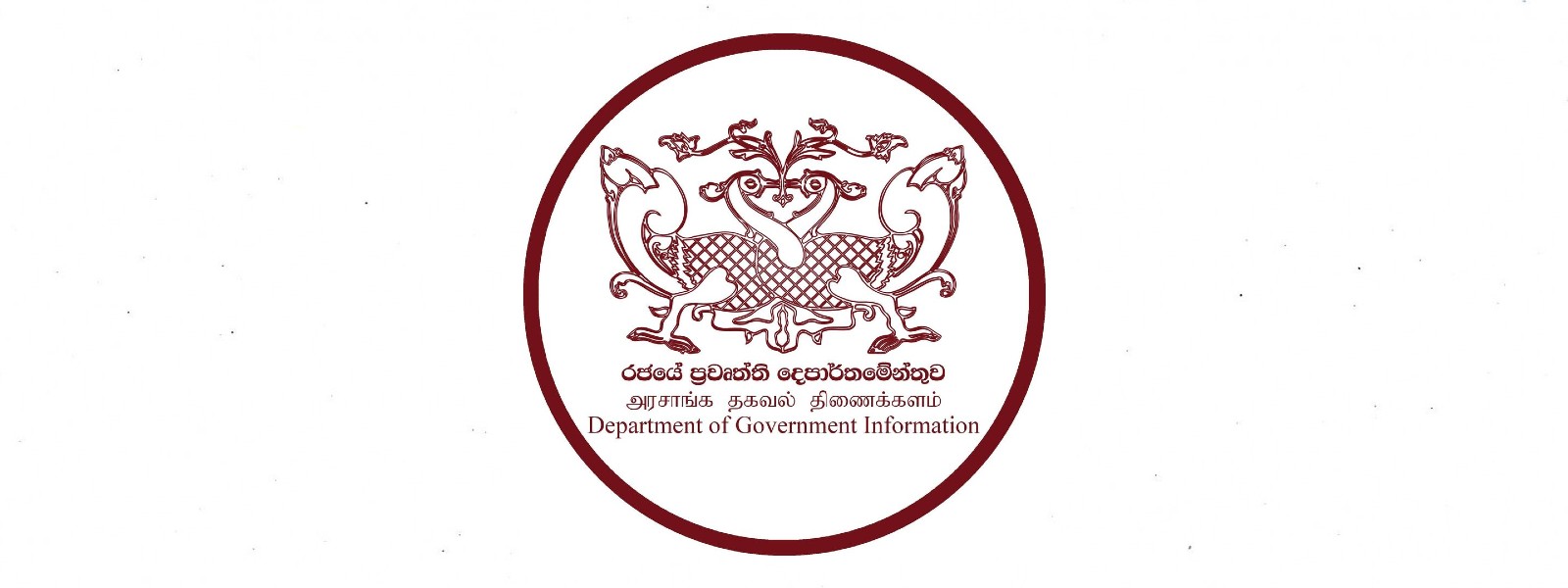 Department of Government Information