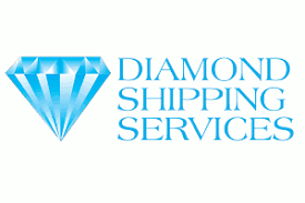 DSI Samson Group